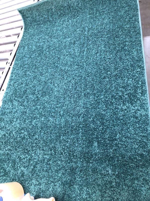 Photo 1 of 2'6"x4' green area rug 