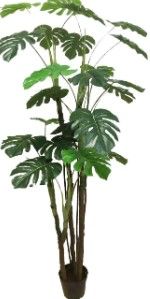 Photo 1 of AMERIQUE Pair Lifelike 6 Feet Tropical Monstera Palm Artificial Tree with Nursery Pot, UV Protection, Feel Real Technology, Super Quality, Green