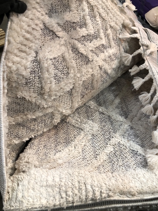 Photo 1 of **** USED **** 
Ansley Textured Lattice Tassel Beige 7 ft. 10 in. x 10 ft. 10 in. Area Rug
