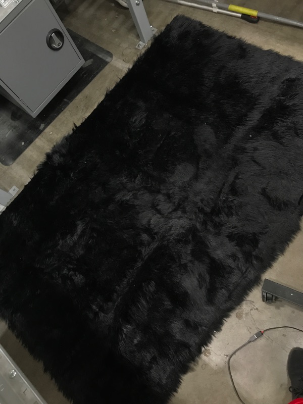 Photo 1 of 4x6 Feet Fluffy Area Rug, Black