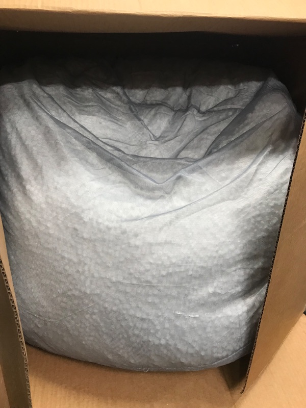 Photo 1 of bean bag fill