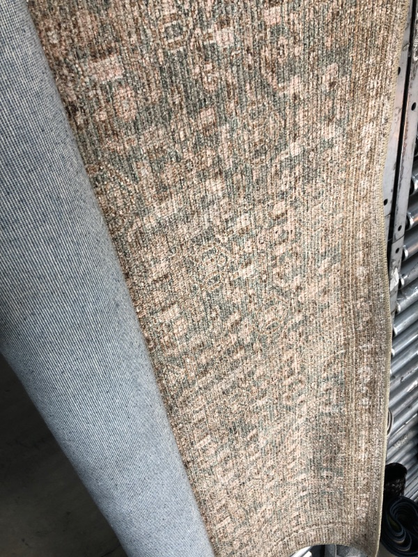 Photo 1 of Angela Rose x Loloi Aubrey Collection AUB-04 Sage / Bark, Traditional 5'-0" x 7'-0" Area Rug Sage / Bark 5'-0" x 7'-0"
