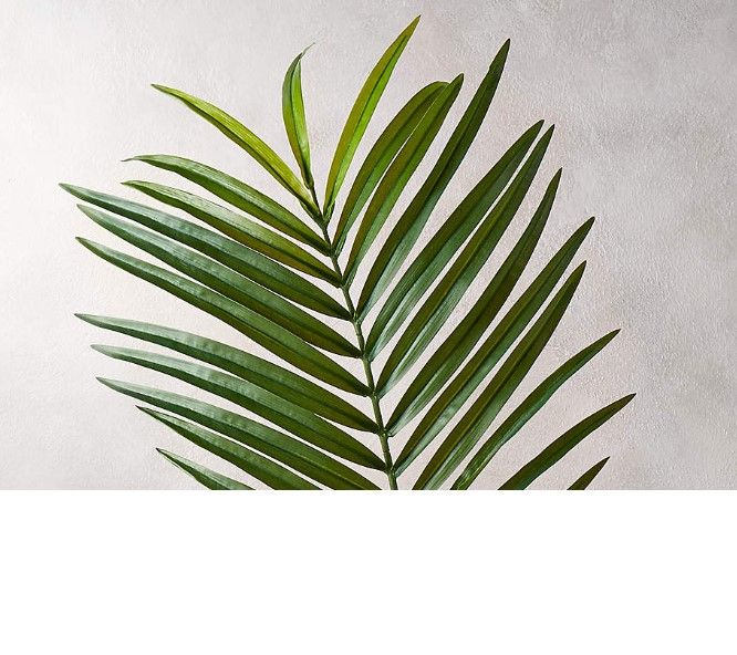 Photo 1 of  STOCK PHOTO Large Tropical Palm Leaves Imitation Ferns Artificial Plants Leaf