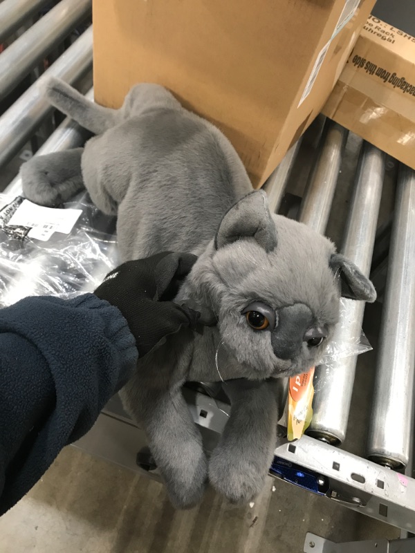 Photo 2 of Folkmanis Purring Cat Hand Puppet, Gray, 8"