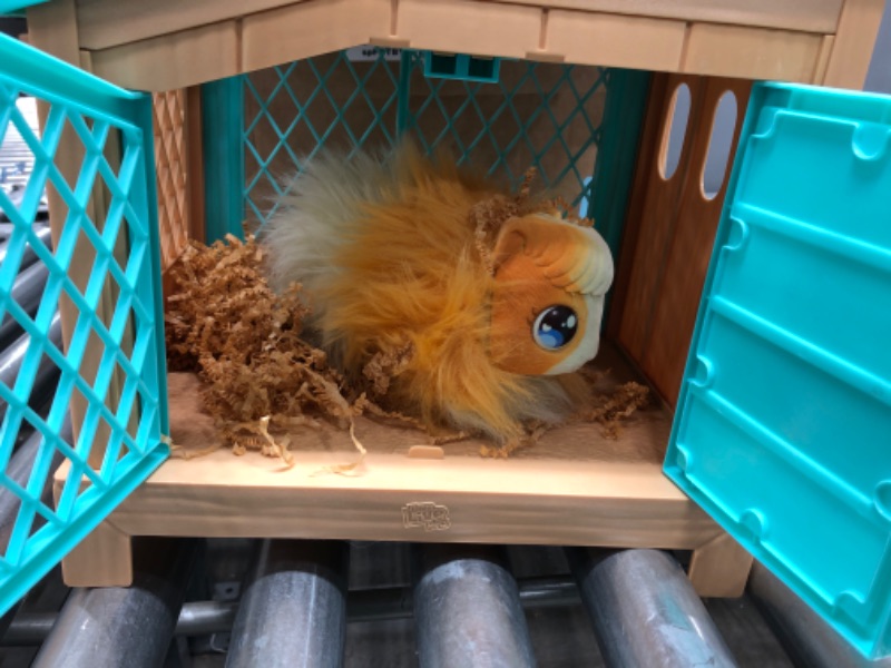 Photo 2 of Little Live Pets - Mama Surprise | Soft, Interactive Mama Guinea Pig and her Hutch, and her 3 Surprise Babies. 20+ Sounds & Reactions. for Kids Ages 4+, Multicolor, 7.8 x 11.93 x 11.38 inches
