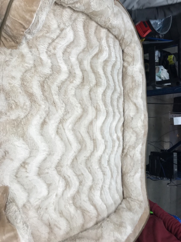 Photo 1 of 60"X 44" DOG BED WITH BORDER ORTHOPEDIC