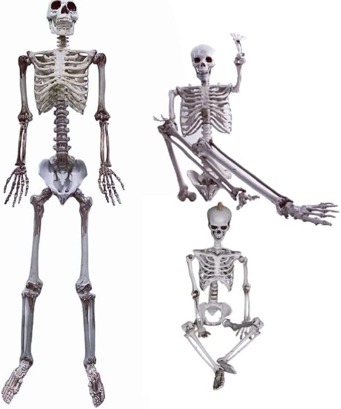 Photo 1 of 5.4 Ft Halloween Life Size Skeleton Full Body Human Bones 