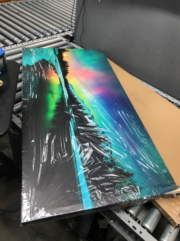 Photo 1 of 24" x 47.5" Northern Light Canvas frame **Minor Damages**
