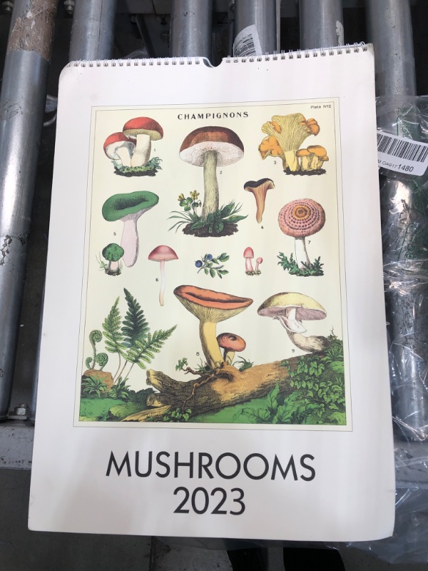 Photo 2 of Cavallini 2023 Wall Calendar, Vintage Mushrooms (CAL23-36)