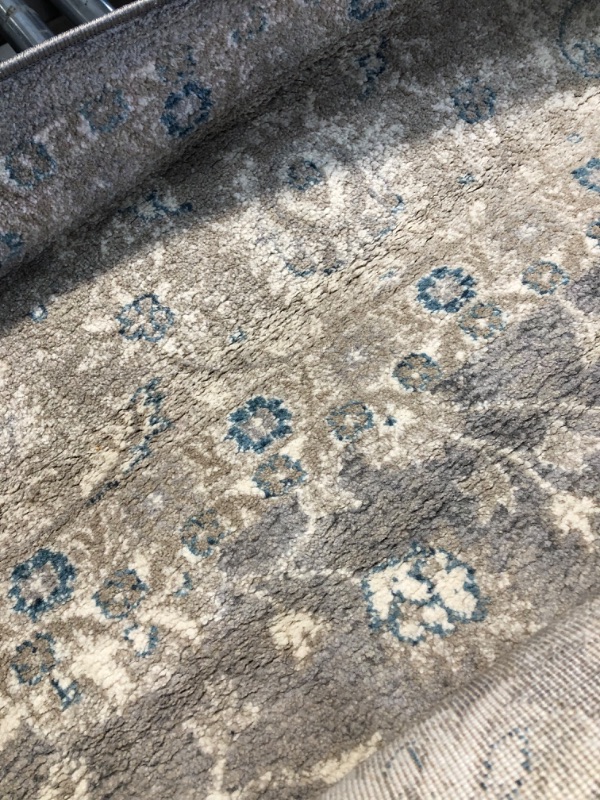 Photo 2 of **used- dirt marks**
SAFAVIEH Sofia Collection 8' x 10' Light Grey/Beige SOF330B Vintage Oriental Distressed Non-Shedding Living Room Bedroom Dining Home Office Area Rug 8' x 10' Light Grey / Beige