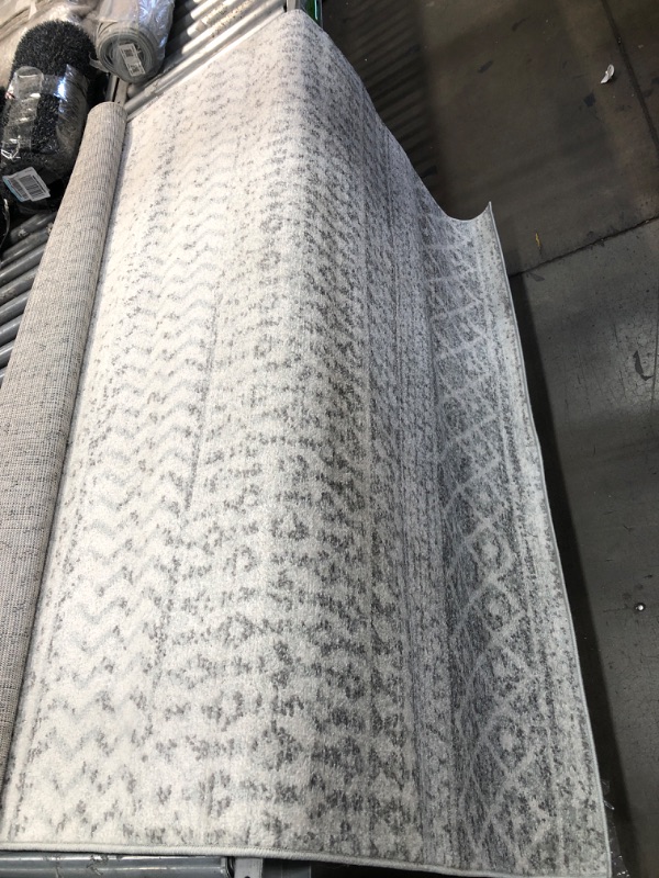 Photo 1 of surya rug 5'3 x 7'6