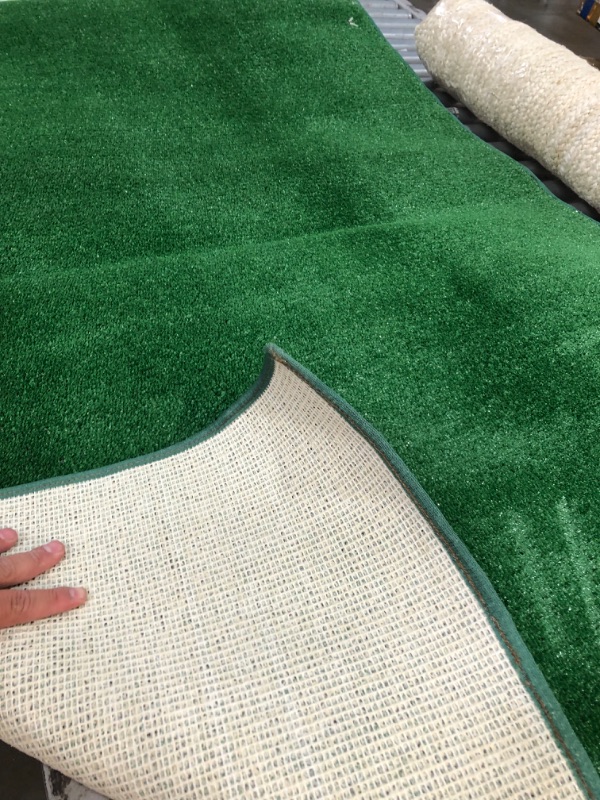 Photo 2 of 6'X4' TURF RUG 