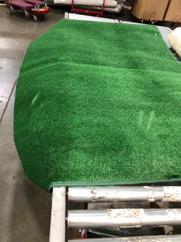 Photo 1 of 6'X4' TURF RUG 