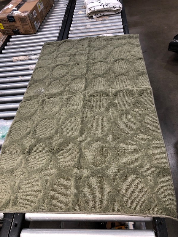 Photo 1 of 2'10' X 5' Green Area Rug