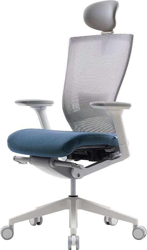 Photo 1 of SIDIZ T50 Ergonomic Home Office Chair : High Performance, Adjustable Headrest, 2-Way Lumbar Support, 3-Way Armrest, Forward Tilt, Adjustable Seat Depth, Ventilated Mesh Back, Cushion Seat (Blue)
