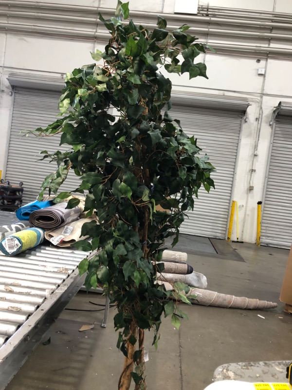 Photo 4 of **minor wrinkle**
Nearly Natural 7ft. Ficus Artificial Tree, Green 84 in Trees