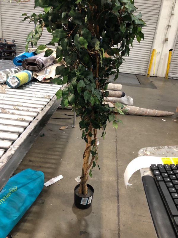 Photo 5 of **minor wrinkle**
Nearly Natural 7ft. Ficus Artificial Tree, Green 84 in Trees