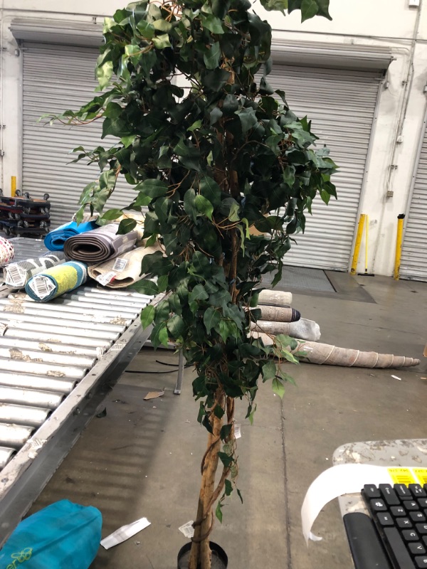 Photo 7 of **minor wrinkle**
Nearly Natural 7ft. Ficus Artificial Tree, Green 84 in Trees