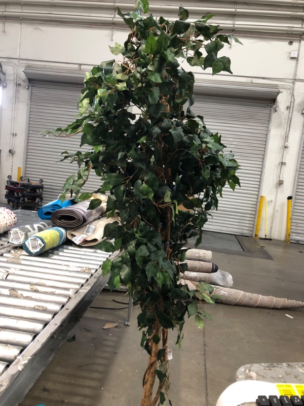 Photo 6 of **minor wrinkle**
Nearly Natural 7ft. Ficus Artificial Tree, Green 84 in Trees