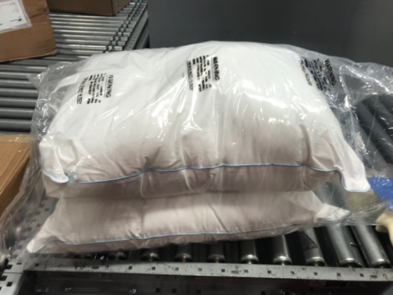 Photo 2 of ANY POSISTION WHITE FIBER PILLOWS 2