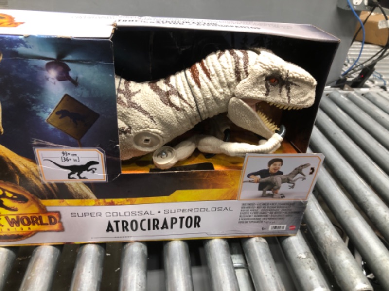 Photo 2 of **See clerk notes** Jurassic World Dominion Large Dinsoaur Toy, Super Colossal Atrociraptor Action Figure 3 Feet Long with Eating Feature, Gift for Kids [Amazon Exclusive] Dinosaur Toy