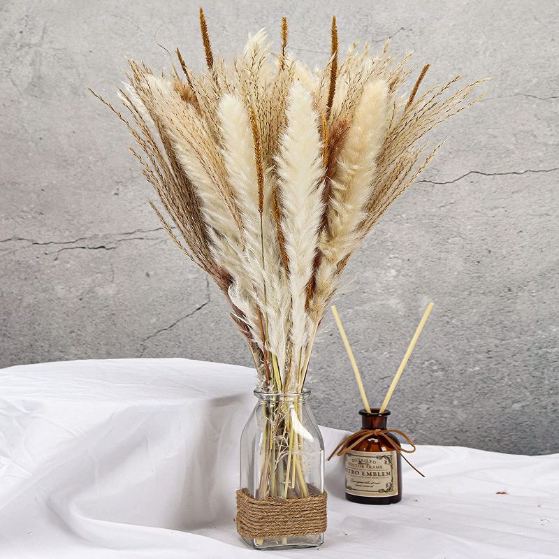 Photo 1 of 65 Pcs Pampas Grass 17" Natural Dried Pampas Grass - Boho 4 Color Khaki/White/Brown/Beige Pampas Grass Plants for Flower Arrangements Wedding Party Home Decor
