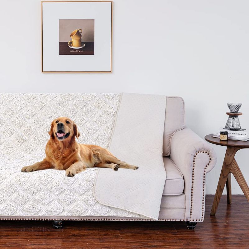 Photo 1 of 
AMZTEX Waterproof Dog Bed Blanket Warm Sherpa Fleece Soft Anti-Slip Pet Bed Cover for Sofa Couch Furnitures Protector
Size:68x80 Inch (Pack of 1)
Color:Ivory