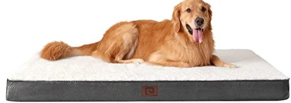 Photo 1 of **USED**  Size:36 x 27
EHEYCIGA Large Dog Beds for Large Dogs, Orthopedic Washable Dog Bed with Removable Cover, Big Durable Pet Bed Dog Mat Mattress Cushion, Beige
