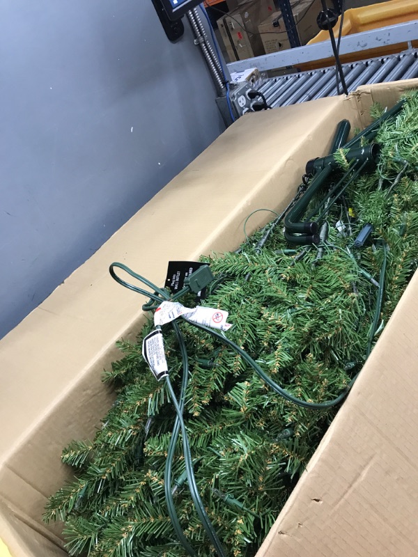 Photo 3 of ** TESTED*** LIGHTS UP*** National Tree Company Pre-Lit Artificial Full Christmas Tree, Green, Dunhill Fir, White Lights, Includes Stand, 6.5 Feet