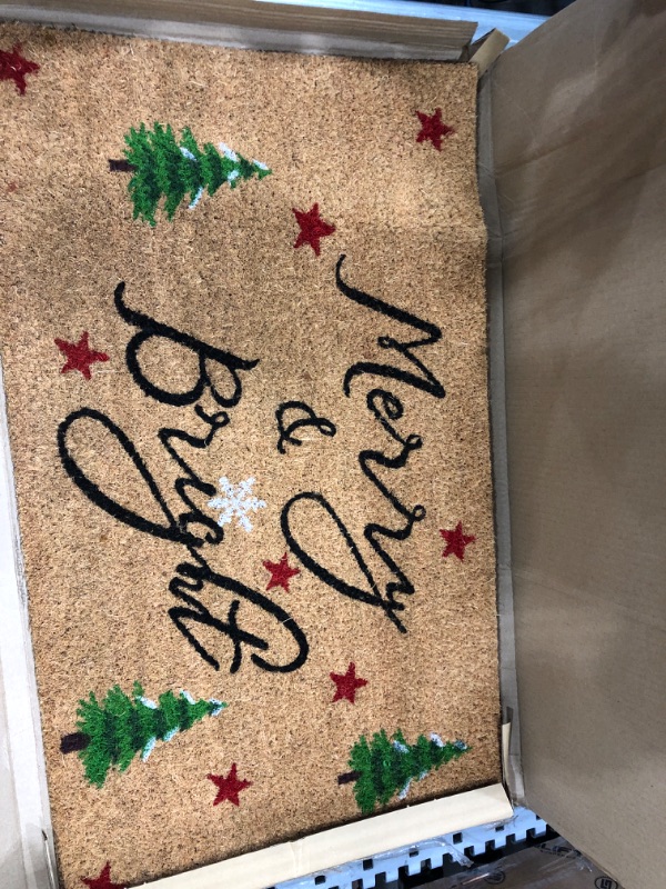 Photo 2 of ***MINOR DAMAGE***Calloway Mills 105021729 Yule Doormat, 17" x 29"