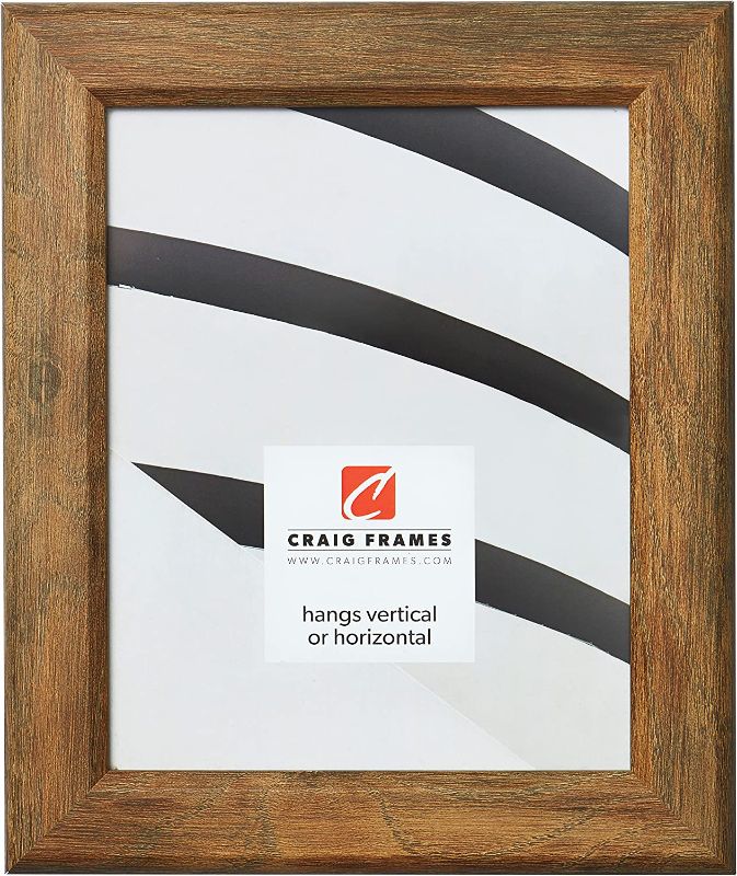 Photo 1 of Craig Frames Arthur Picture Frame, 11 x 14 Inch, Brown Barnwood (2 PACK)
