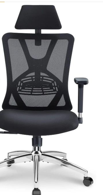 Photo 1 of Ticova Ergonomic Office Chair - High Back Desk Chair with Adjustable Lumbar Support,