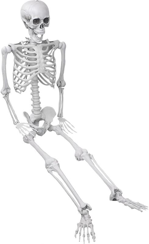 Photo 1 of 5.4ft/165cm Halloween Skeleton, Posable Life Size Human Skeletons, Full Body Realistic Bones with Movable Joints for Halloween Spooky Party Decoration, Yard Lawn Outdoor Haunted House Props Decor