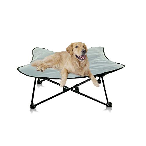 Photo 1 of 


Portable Elevated Dog Bed | Folding Pet Cot for Indoor, Outdoor, Traveling, Camping | Fold up Steel Frame with Padded Cushion Canopy | Raised Travel L
