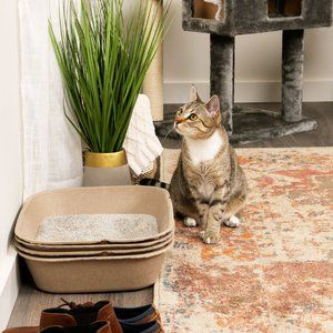 Photo 1 of **tear on side
Kitty Sift Disposable Sifting Cat Litter Box Kit, Large
