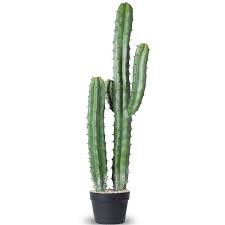 Photo 1 of AntHousePlant Artificial Cactus Fake Big Cactus 36 Inch Faux Cacti Plants for Home Garden Office Store Decoration
