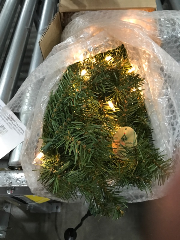Photo 1 of 9-foot Pre-lit Norwood Fir Garland - Green
