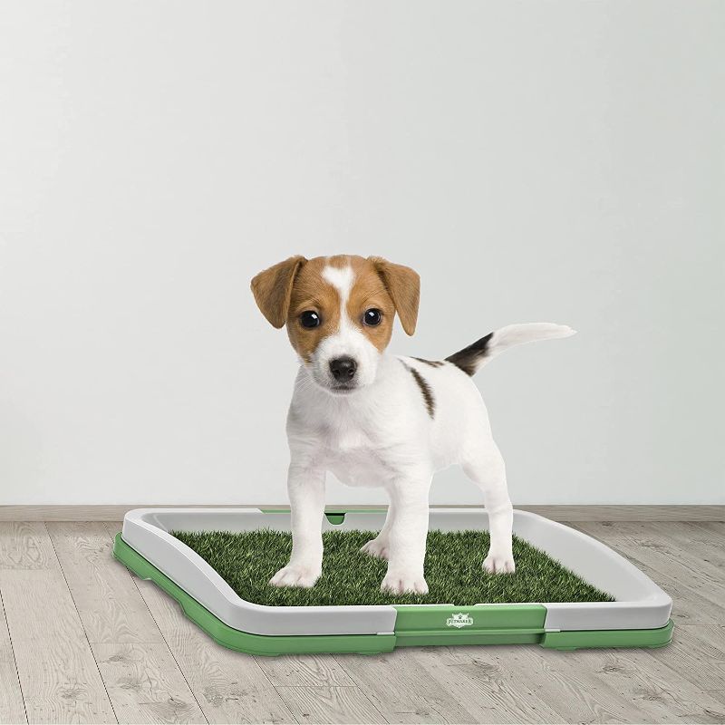 Photo 1 of Artificial Grass Bathroom Mat for Puppies and Small Pets- Portable Potty Trainer for Indoor and Outdoor Use by Petmaker- Puppy Essentials, 18.5” x 13”
