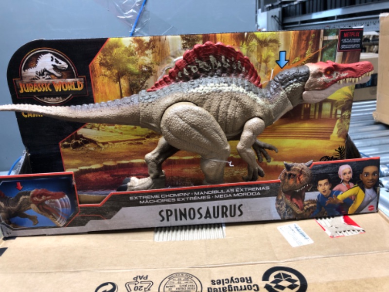 Photo 3 of Jurassic World Extreme Chompin' Spinosaurus Dinosaur Action Figure, Huge Bite, Authentic Decoration, Movable Joints, Ages 4 Years Old & Up SIOC/FFP Dinosaur