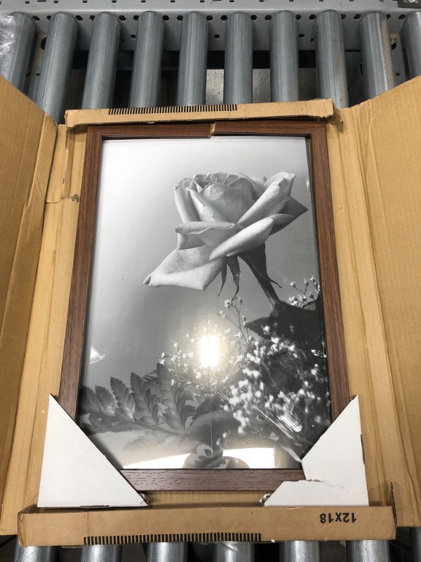Photo 1 of Americanflat 12x18 Poster Frame in Walnut - Composite Wood with Polished Plexiglass - Horizontal and Vertical Formats for Wall with Included Hanging Hardware Walnut 12x18 Frame