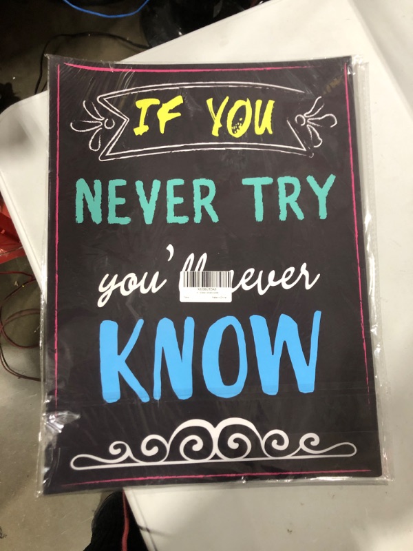 Photo 1 of 12 x 16 size posters. "If you never try you'll never know".