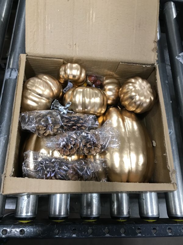 Photo 1 of 12 Pcs Fall Decoration Set