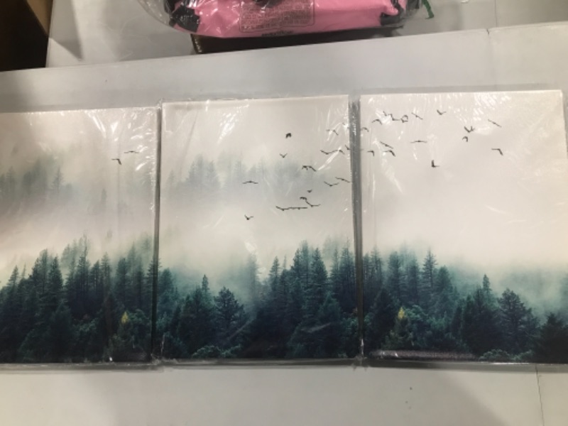 Photo 1 of 3 Piece Canvas Wall Art for Living Room- wall Decorations for Bedroom Foggy forest Trees Landscape painting- Modern Home Decor Stretched and Framed Ready to Hang pictures- 12"x16"x3 Panels wall decor