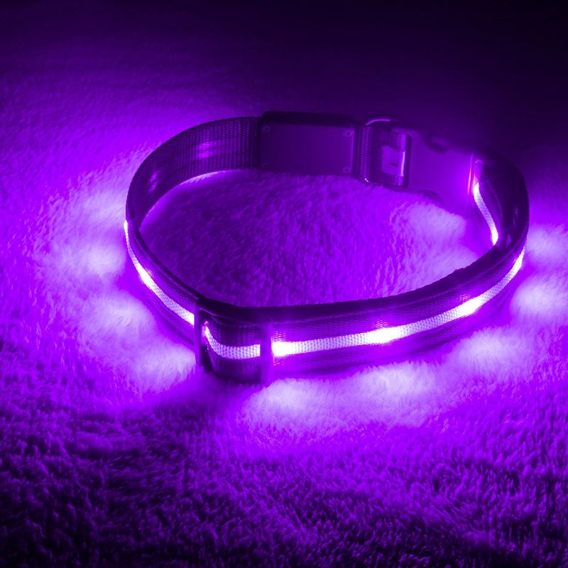 Photo 1 of Blazin LED Light Up Dog Collar - 1,000 Feet of Visibility - Brightest for Night Safety - USB Rechargeable with Water Resistant Glowing Dog Collar Light