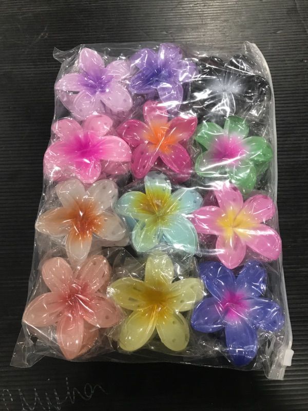 Photo 1 of 12 piece flower hair clips