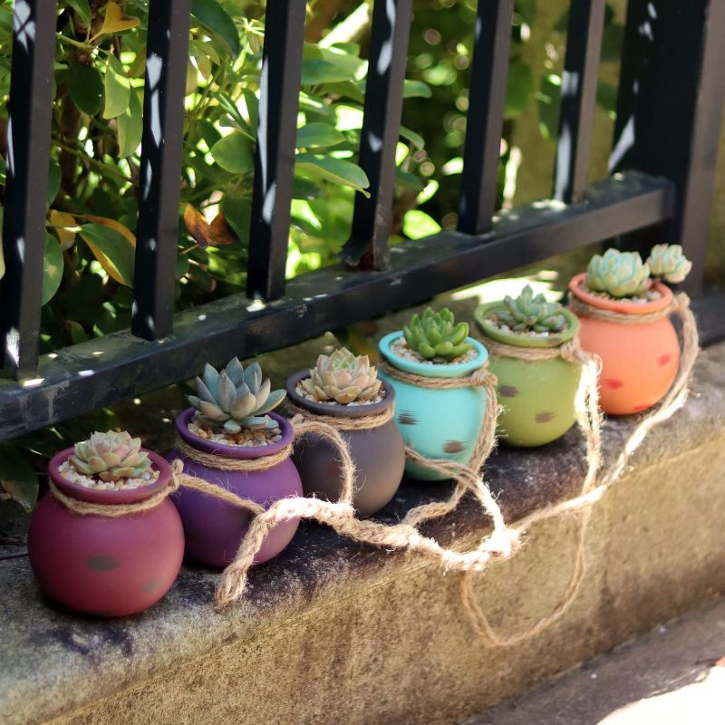 Photo 1 of 6PCS 4.0 Inch Hanging Succulent Planters Dangling Ceramic Pot Wall or Ceiling Mount Hanging Ceramic Plant Pot Hanging Planter Hanging Pendant Hanging Basket Succulent Planter/Succulent Cactus/
