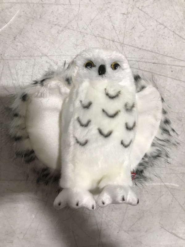 Photo 2 of Douglas Cuddle Toys Wizard Snowy Owl Stuffed Plush Animal