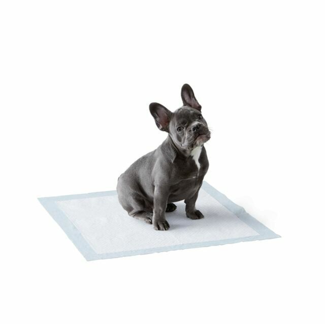 Photo 1 of AmazonBasics TRP150R Dog and Puppy Training Pad, Regular - 150 Count
