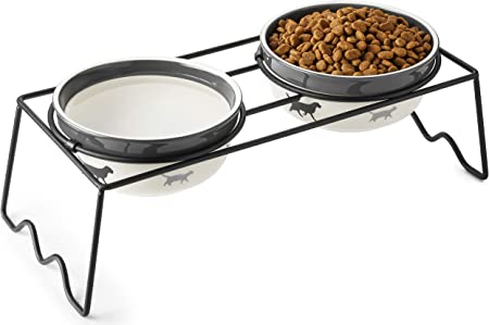Photo 1 of Y YHY Elevated Dog Bowls, Dog Food and Water Bowl Set
