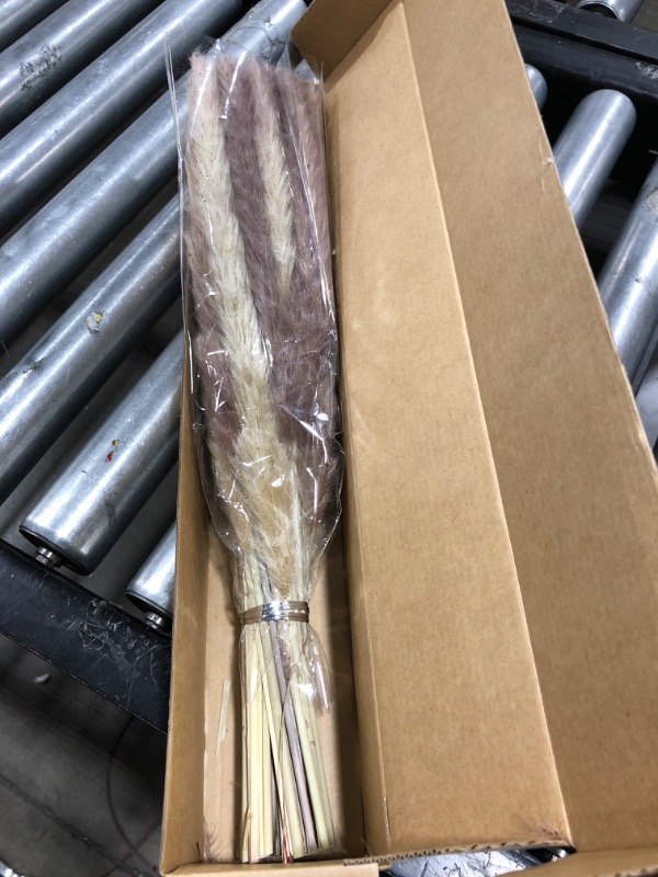 Photo 1 of 60pc. Natural Feathers 